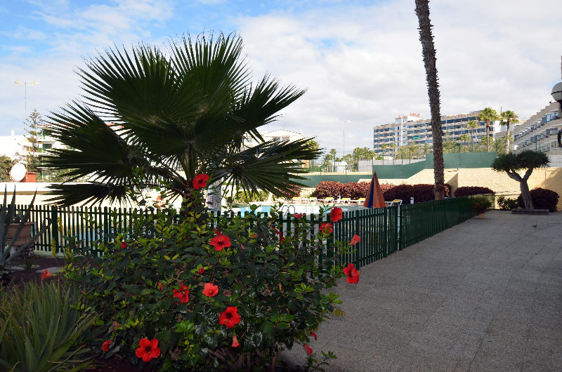 Apartamentos Los Juncos I Playa del Ingles  Bagian luar foto