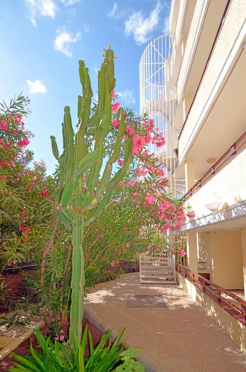 Apartamentos Los Juncos I Playa del Ingles  Bagian luar foto